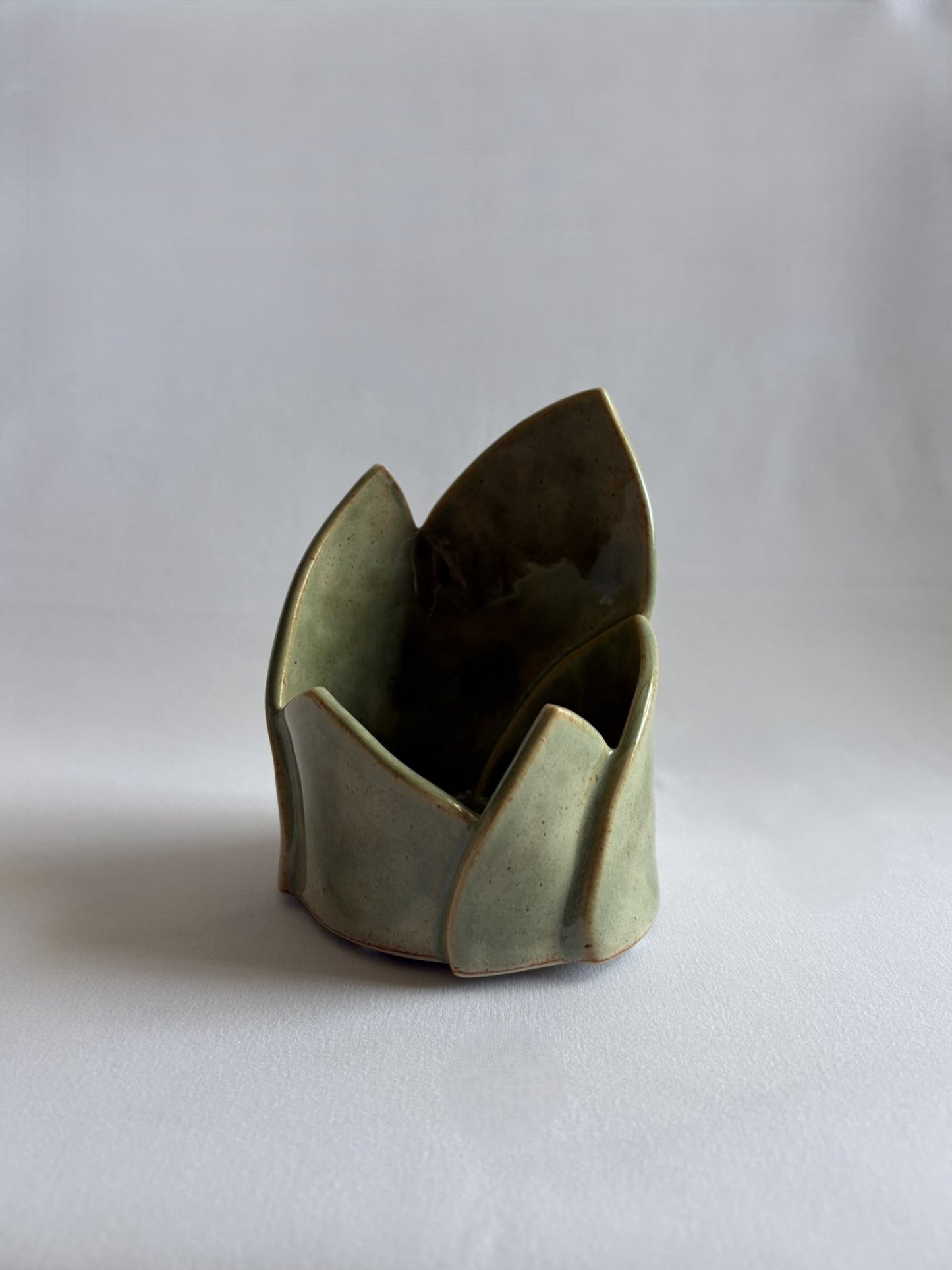 Aloe Candle Holder