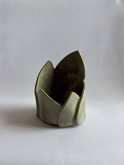 Aloe Candle Holder
